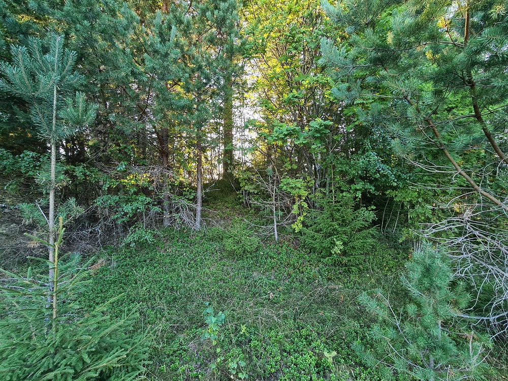 Click for full size image of Kjosholtet (PID:250601) Kjosholtet