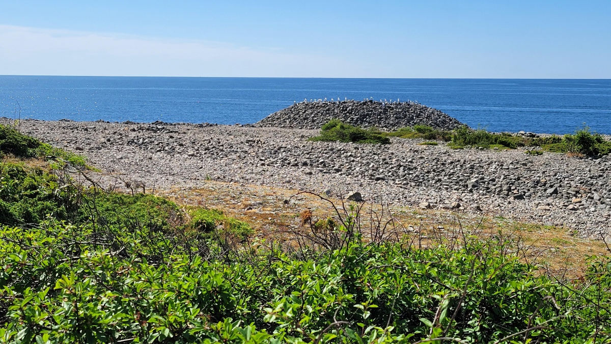 Click for full size image of Mølen (PID:260197) Mølen