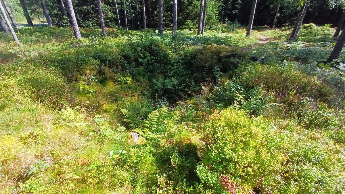 Click for full size image of Jernaldergravene på Skeidsmonan (PID:276428) Jernaldergravene på Skeidsmonan