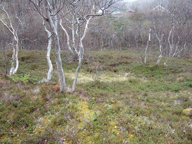 Grunnfarnes Neolithic Settlement