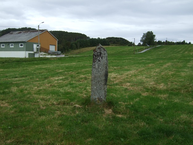 Synes standing stone