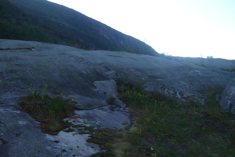 Part of the main cliff. Most of the carvings is covered in moss.
