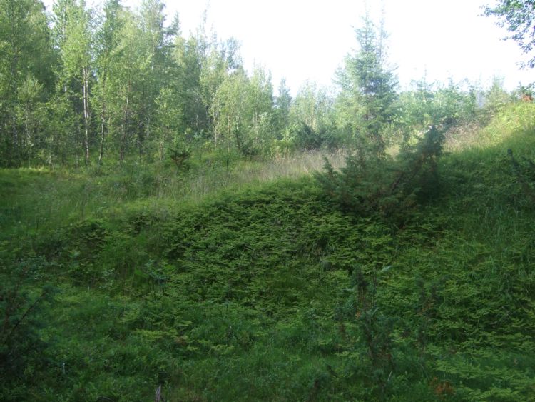 Vassås Barrows