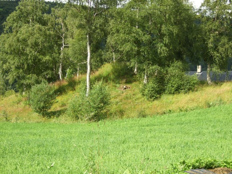 Krosshaugen Round Mound (PID:51851) Krosshaugen Round Mound