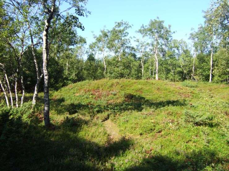 Kvistadvika settlement