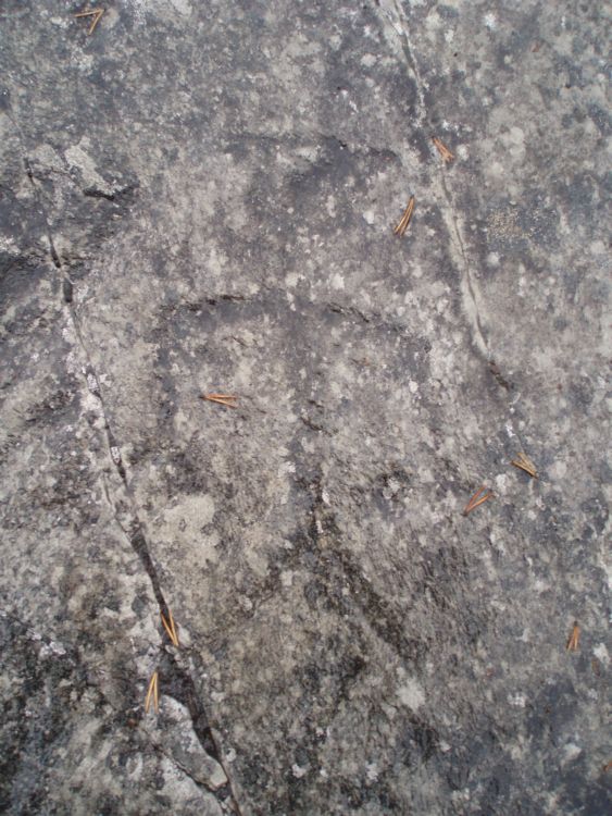 Amtmannsnes (PID:35745) Amtmannsnes