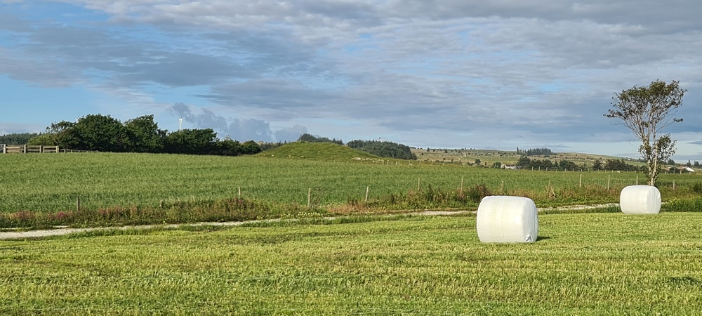 Click for full size image of Kipparhoien (PID:278530) Kipparhoien