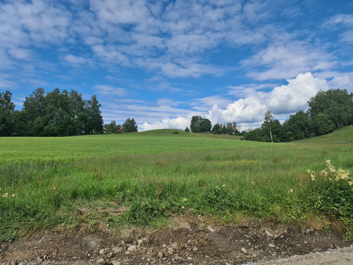 Click for full size image of Haakenstadlinna-Kongshaug (PID:264253) Haakenstadlinna-Kongshaug