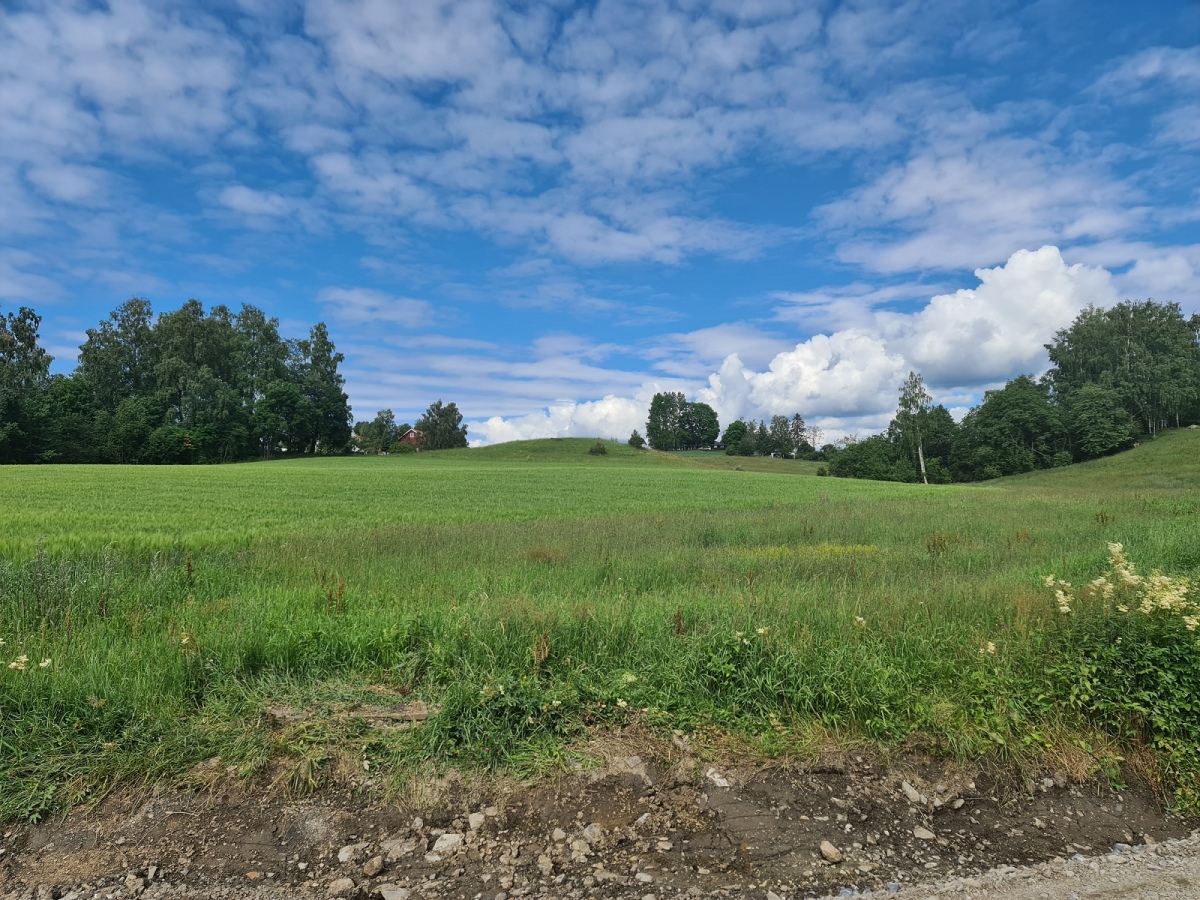 Haakenstadlinna-Kongshaug