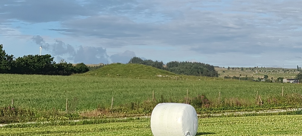 Click for full size image of Kipparhoien (PID:278529) Kipparhoien