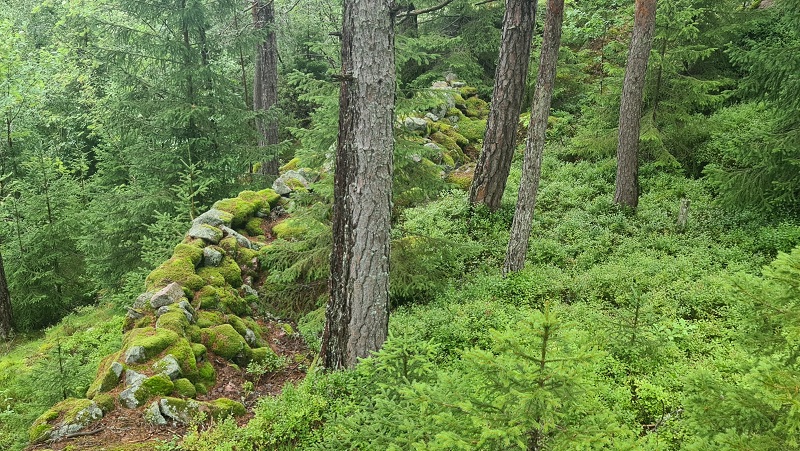 Click for full size image of Borgaren (PID:277720) Borgaren