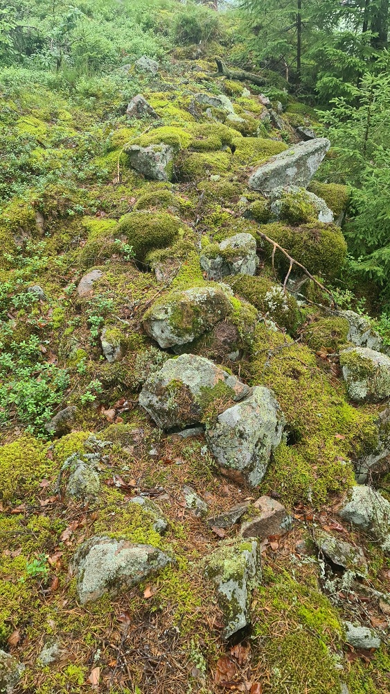 Click for full size image of Borgaren (PID:277722) Borgaren