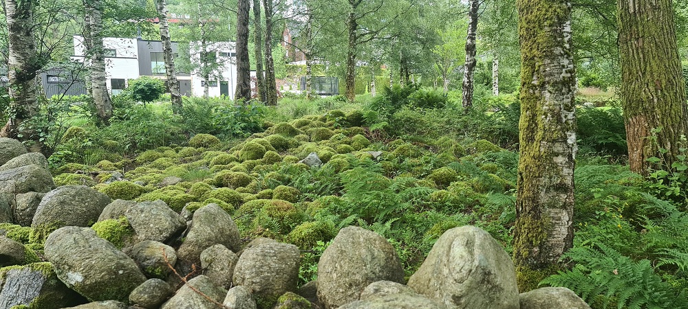 Click for full size image of Auglend (Jørpeland) (PID:278588) Auglend (Jørpeland)