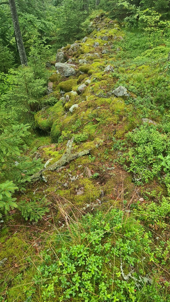 Click for full size image of Borgaren (PID:277721) Borgaren
