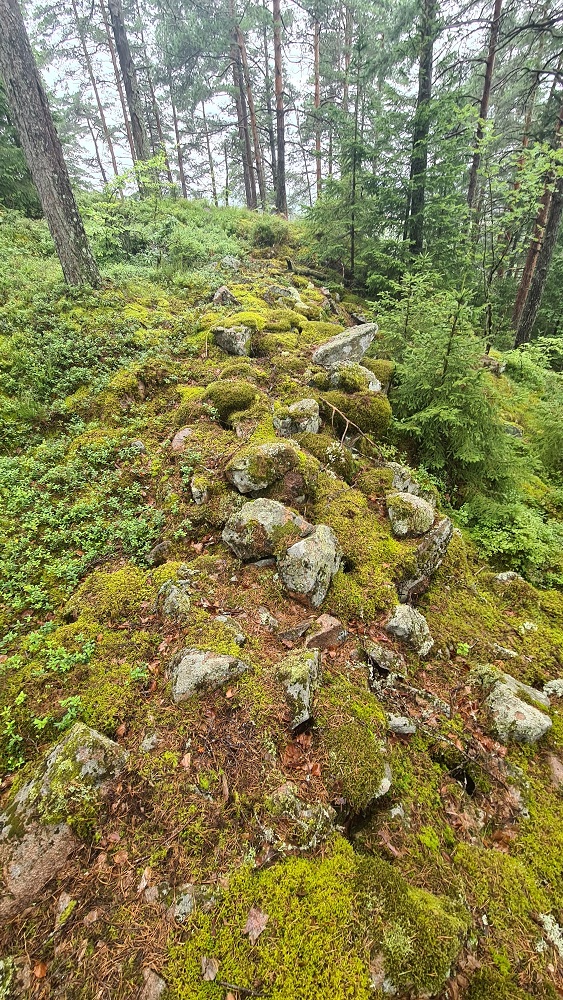 Click for full size image of Borgaren (PID:277723) Borgaren
