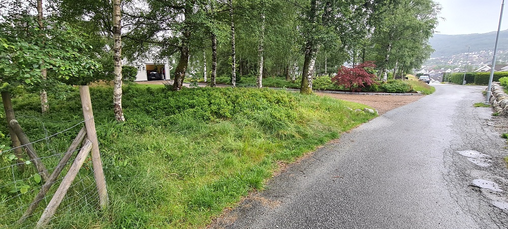Click for full size image of Auglend (Jørpeland) (PID:278585) Auglend (Jørpeland)