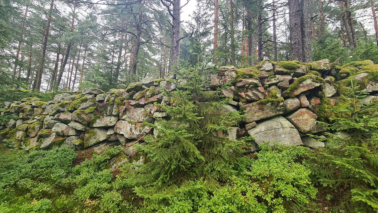 Borgaren (PID:277710) Borgaren