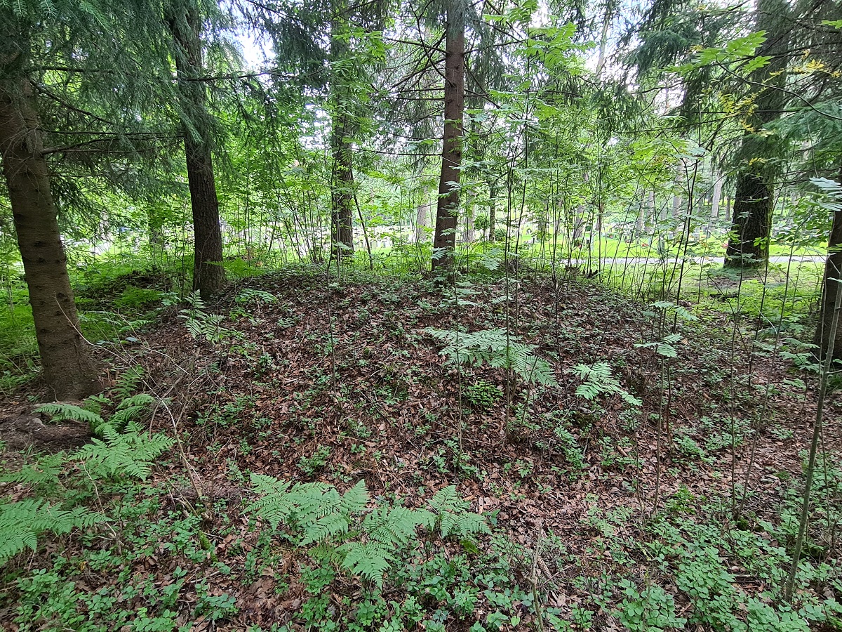 Click for full size image of Eidanger Prestegård (PID:266059) Eidanger Prestegård