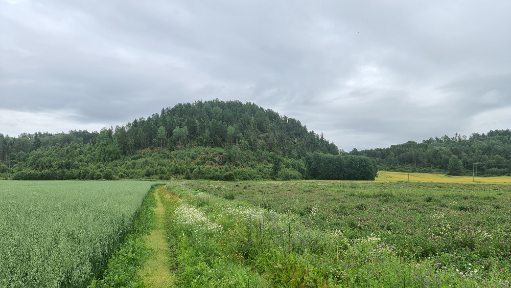 Click for full size image of Borgaren (PID:277724) Borgaren