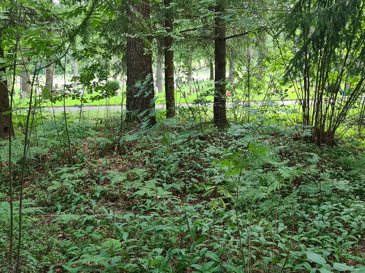 Click for full size image of Eidanger Prestegård (PID:266062) Eidanger Prestegård