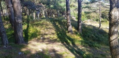 Click for full size image of Hoveodden Røyser (PID:202491) Hoveodden Røyser