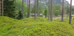 Click for full size image of Flatelandsmoen (PID:218333) Flatelandsmoen