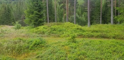 Click for full size image of Flatelandsmoen (PID:218332) Flatelandsmoen
