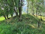 Click for full size image of Mardal (PID:234576) Mardal