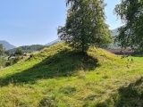 Click for full size image of Mardal (PID:234573) Mardal