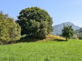 Click for full size image of Mardal (PID:234578) Mardal