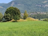Click for full size image of Mardal (PID:234571) Mardal