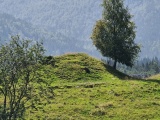 Click for full size image of Mardal (PID:234574) Mardal