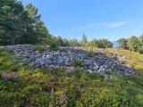 Click for full size image of Jostu-Geiteneset (PID:234322) Jostu-Geiteneset
