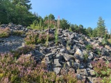 Click for full size image of Jostu-Geiteneset (PID:234323) Jostu-Geiteneset