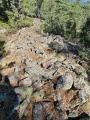 Click for full size image of Myreslottet (PID:249654) Myreslottet