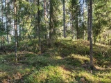 Click for full size image of Jødal Lille (PID:250125) Jødal Lille