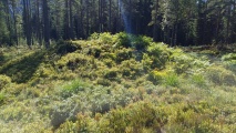 Click for full size image of Jernaldergravene på Skeidsmonan (PID:276426) Jernaldergravene på Skeidsmonan