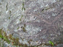 Kvennavika Rock Carvings - PID:94190