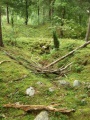 Løykja Cemetery