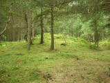 Click for full size image of Løykja Cemetery (PID:53127) Løykja Cemetery
