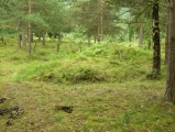 Løykja Cemetery