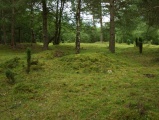 Click for full size image of Løykja Cemetery (PID:53125) Løykja Cemetery