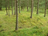 Løykja Cemetery