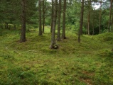 Løykja Cemetery