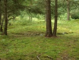 Click for full size image of Løykja Cemetery (PID:53119) Løykja Cemetery