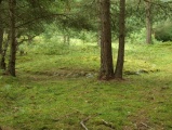 Løykja Cemetery