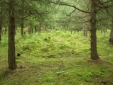 Løykja Cemetery