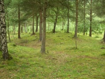 L�ykja Cemetery - PID:53107
