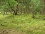 Click for full size image of Løykja Cemetery (PID:53116) Løykja Cemetery