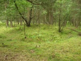 Løykja Cemetery